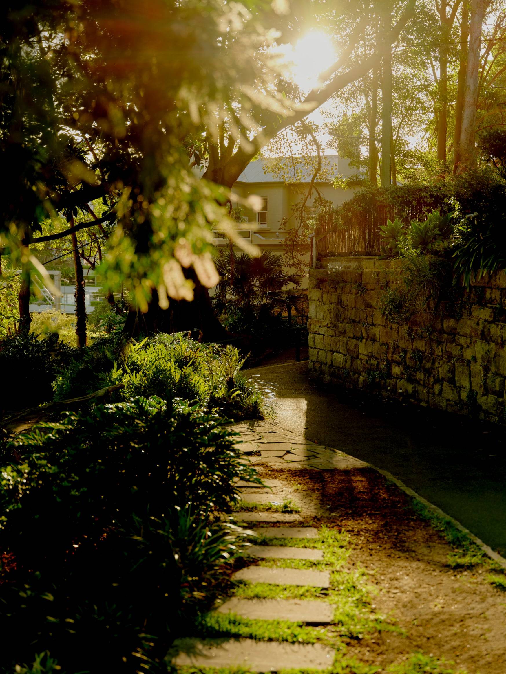 Wendy Whiteley's Secret Garden